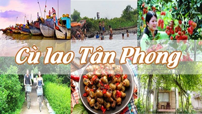 Tour du lịch Cái Bè - Cù lao Tân Phong 1 ngày